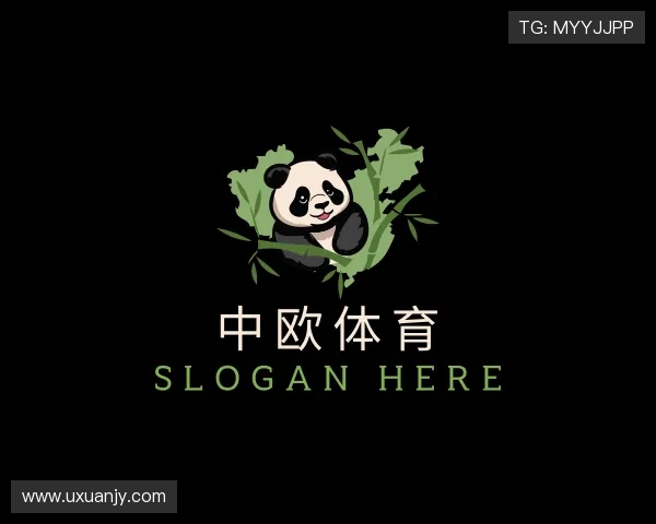 认识zoty中欧