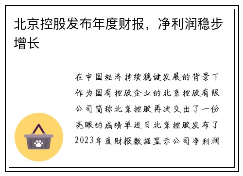 北京控股发布年度财报，净利润稳步增长